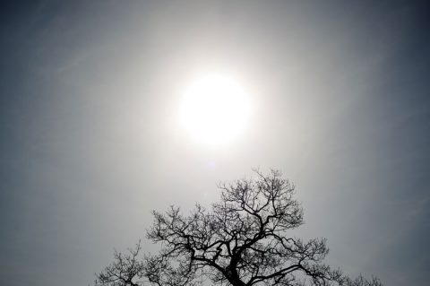 Klimaerwärmung und biblische Plagen – was uns ohne erfolgreiche Energiewende noch erwartet