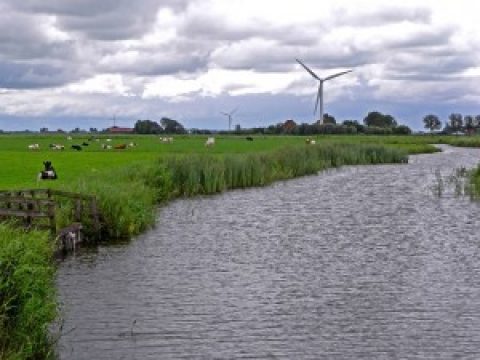 Serie: Die Energiewende – eine Schönheit vom Lande
