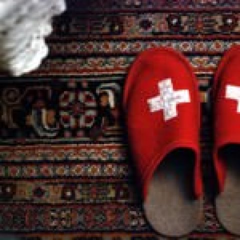 Schweiz: 46 Prozent der Hauseigentümer nutzen Erneuerbare Energien