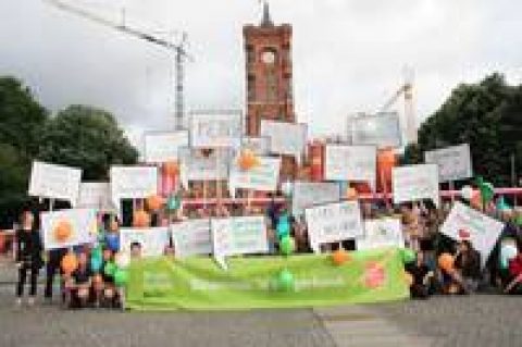 Berliner Stromnetz bald mit Bürgerbeteiligung?