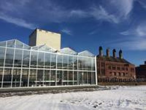 ECF Farm Berlin: Aquaponik-Farm in der Stadt