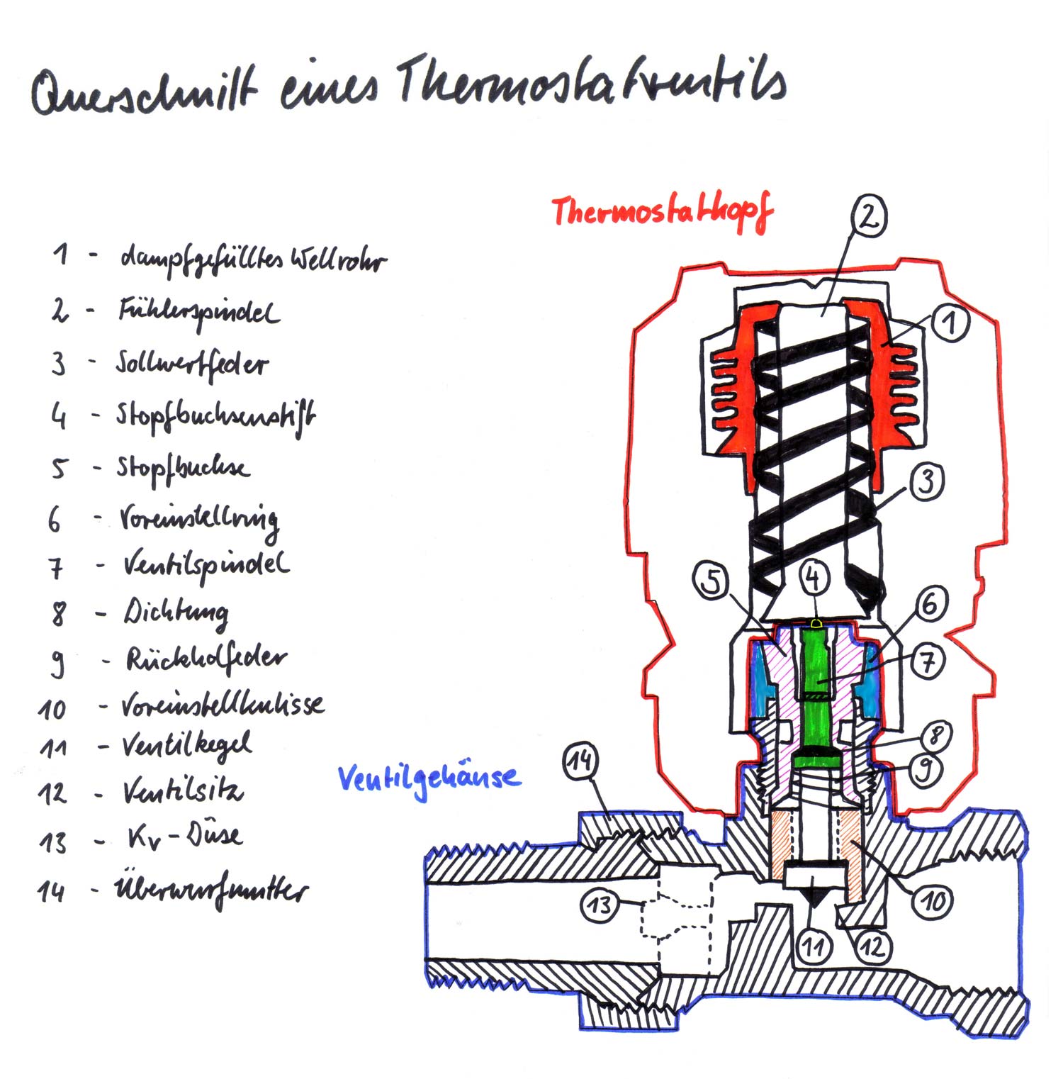 Wie funktioniert ein Thermostatventil? Haustechnik Verstehen