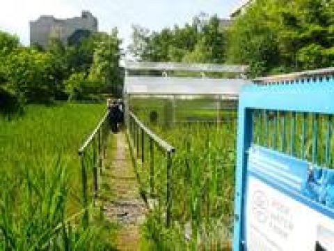 Tag der offenen Abwasserfarm