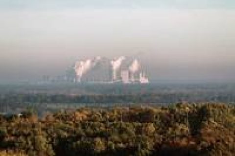 Greenpeace: Braunkohle-Ausstieg durch Stiftung