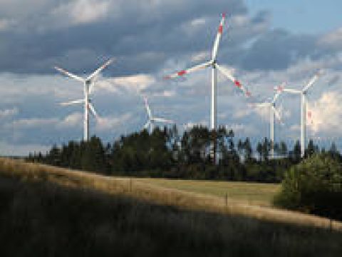 Gabriel plant radikale Kürzung der Ökostromförderung