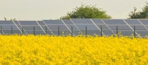 PV-Ausschreibungen: Bieter zweifeln an Realisierbarkeit