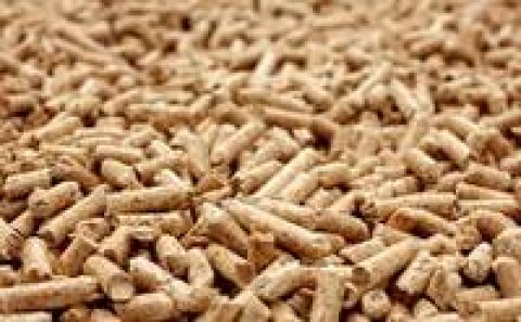 Wärmewende: Erneut weniger Pelletheizungen installiert