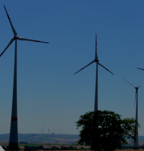 Mehr dezentrale Stromerzeugung – Tennet bereitet sich auf Rekord Wind vor