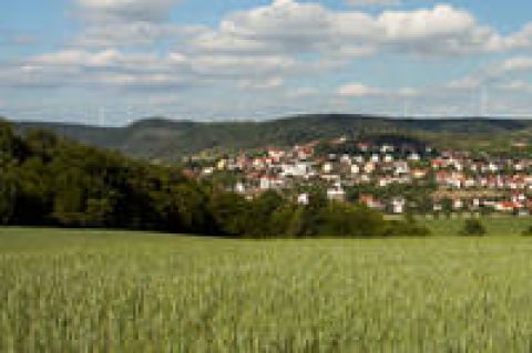 Energieminister fordern gleichen Zubau bei Windkraft