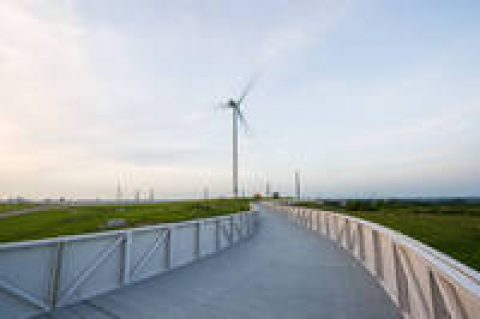 Viel Wind in Hamburg