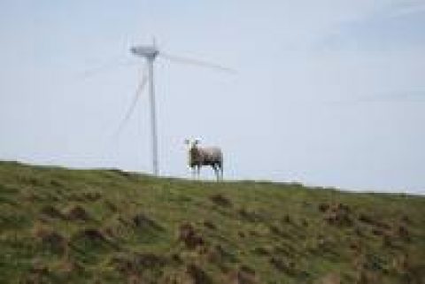 Nordsee-Urlauber akzeptieren Windräder