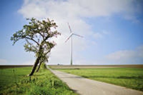 Windkraft ist günstigste Art der Stromerzeugung