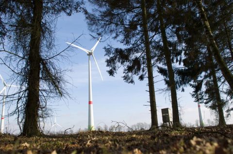 Windenergie im Wald