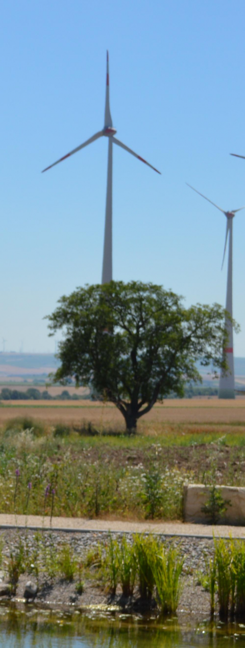 Kurzmeldung: Sturm vorbei – Reserve aktiviert
