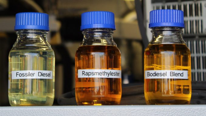 Biokraftstoffe der 1. Generation haben keine Zukunft. Foto: Urbansky