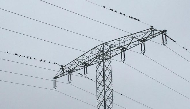 Übertragungsnetze sollen bei den geplanten Trassen Suedlink und Suedostlink zumeist als Erdkabel verlegt werden. Das vervielfacht die Baukosten. Foto: Urbansky