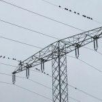 Die geplante Neuregelung der Netzentgelte stößt überwiegend auf Kritik. Foto: Frank Urbansky