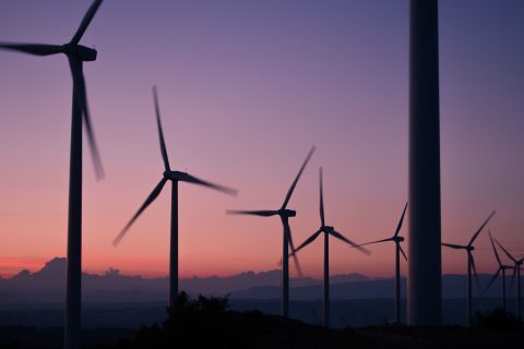 Grüne Stromerzeugung: Erstes Halbjahr endet mit Rekordmonat