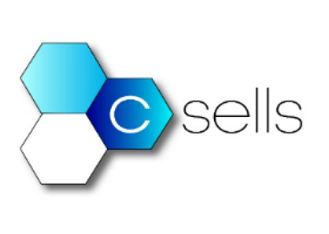 C/sells: Der Blick in die Zukunft der digitalen Energiewende