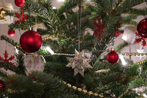 Umweltschutz: Tipps für grüne Weihnachten