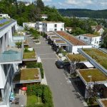 Extensivbegrünungen stellen wenig Anspruch an die Pflege und nutzen niedrigwachsende und sich selbst erhaltende Pflanzen. Foto: Gunter Mann/FBB