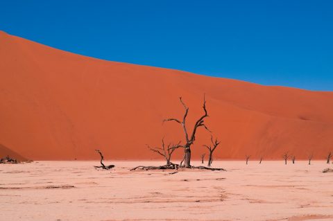 2017 – das wärmste jemals gemessene Jahr ohne El Niño