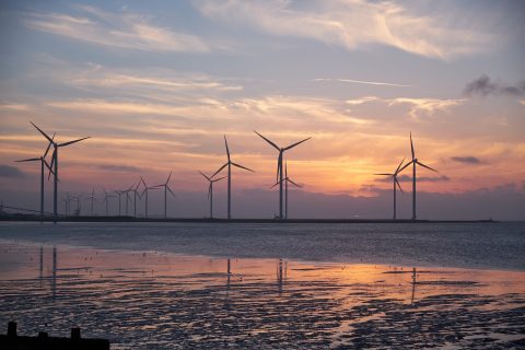 Offshore-Windkraft in der EU 2017: Zuwachs um 25 %
