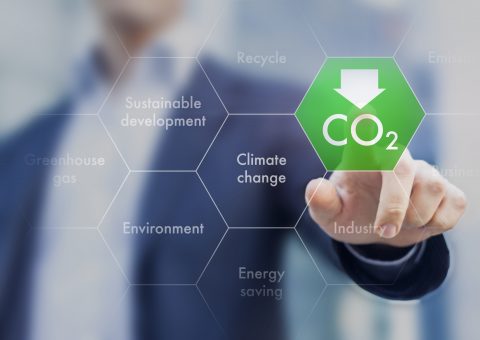 Mit Emissionszertifikaten zum Klimagas