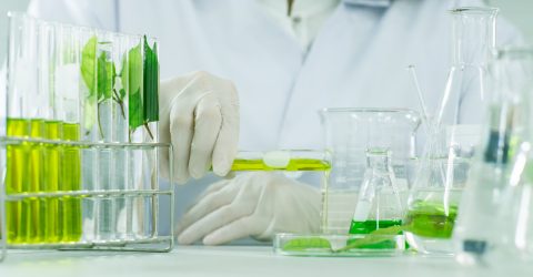 Biogasanlagen alternativ nutzen