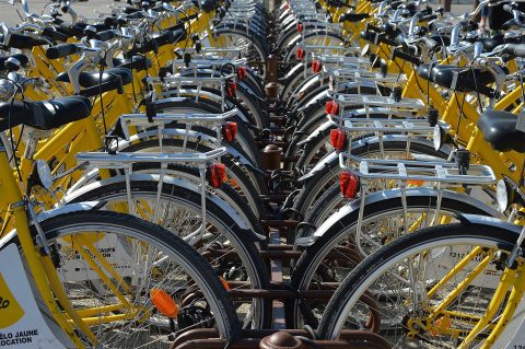 Diesel-Fahrverbote: Bürger wollen auf ÖPNV, Rad und E-Auto umsteigen