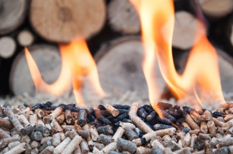 Heizen mit Holz: klimaschonend, kostengünstig und preisstabil