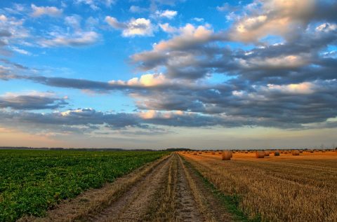 Verfehlte Klimaschutzziele: Deutschland droht Zahlung in Milliardenhöhe