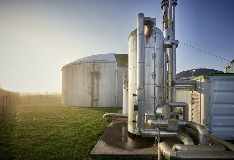 Biogas: Zukauf gegen den Tre