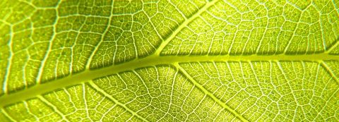 CO2 – Rohstoff der Zukunft!?