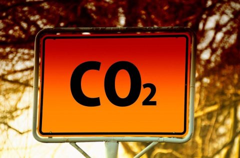 Klimaschutzprogramm und CO2-Bepreisung