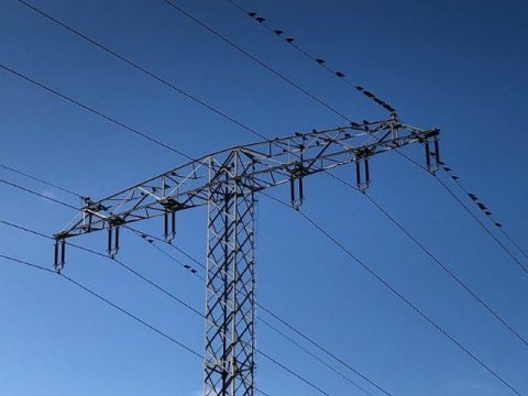 2021er Reform des EEG reicht nicht aus