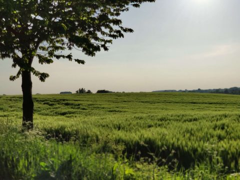 Heizen mit Erdgas: Klimakosten deutlich höher als angenommen
