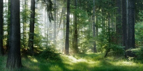 Postwachstum kommunizieren – äußern, was ich wichtig finde